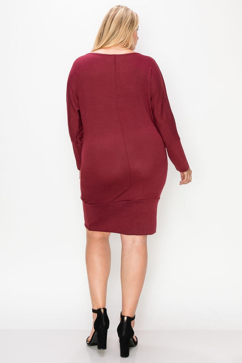 Draped Neck Long Sleeve Dress